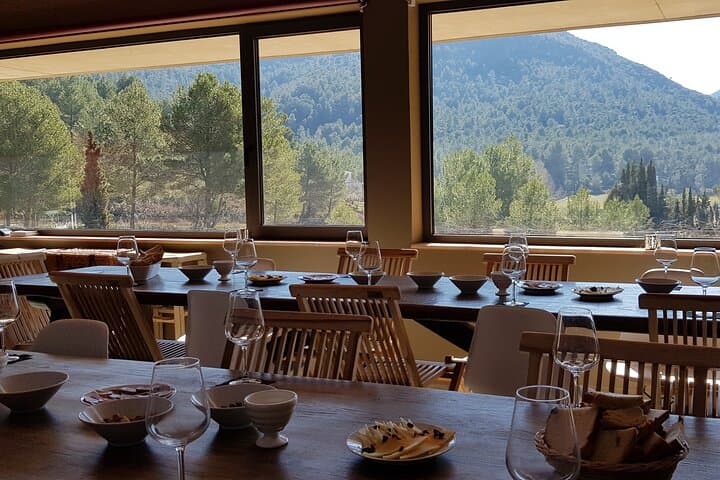 Private Tour - Hike and wine tasting at the Penedés