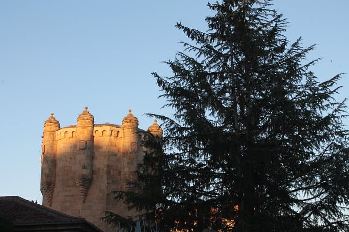 Clavero tower