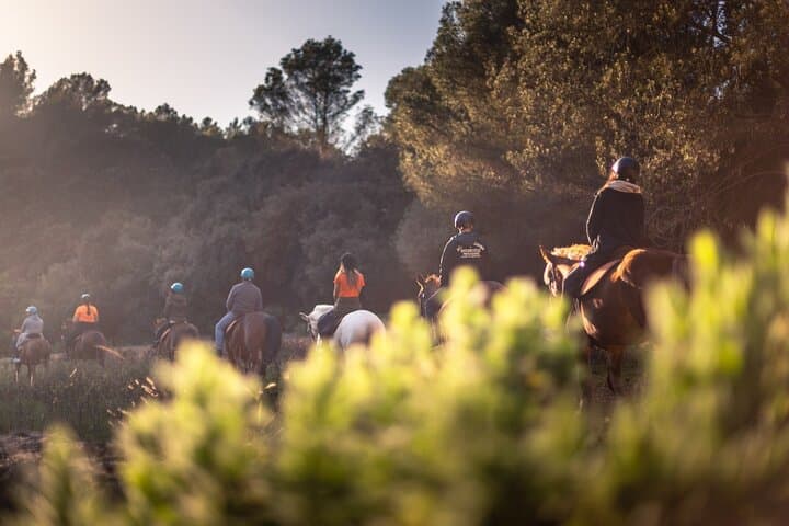 Horseback Riding in Cala Mitjana, Menorca, Spain