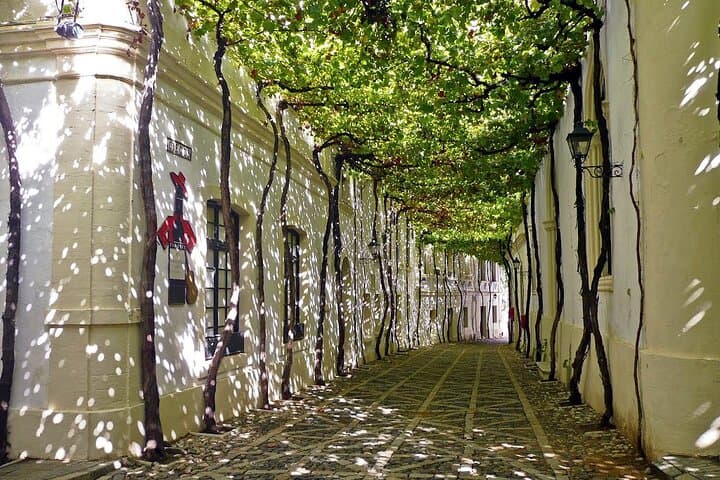 Transfer from Seville to Jerez