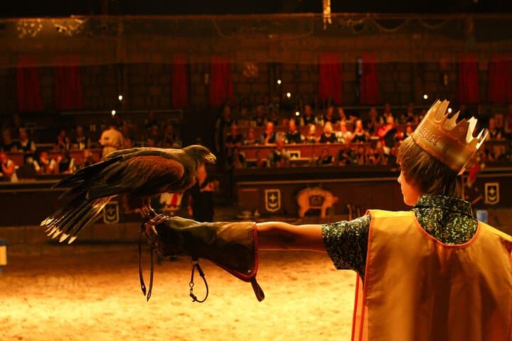 Medieval San Miguel Castle Dinner and Show in South Tenerife