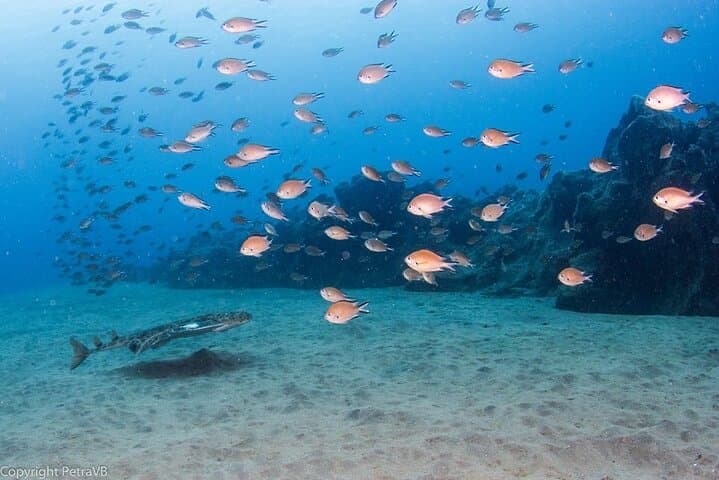 Waters full of life