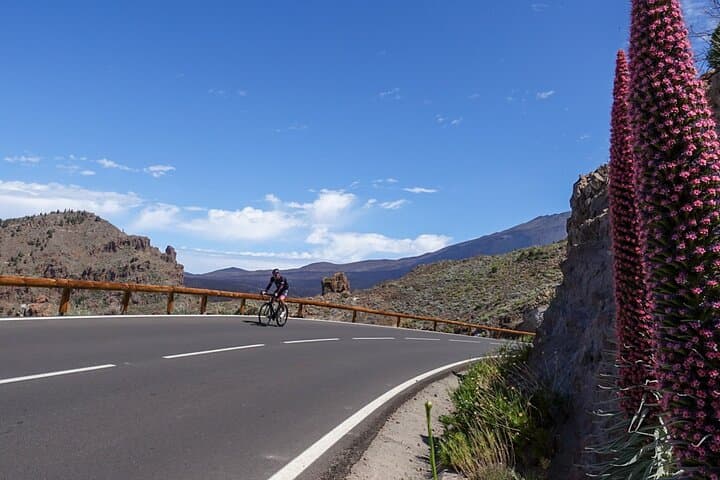 Road Cycling Tenerife - Teide Route
