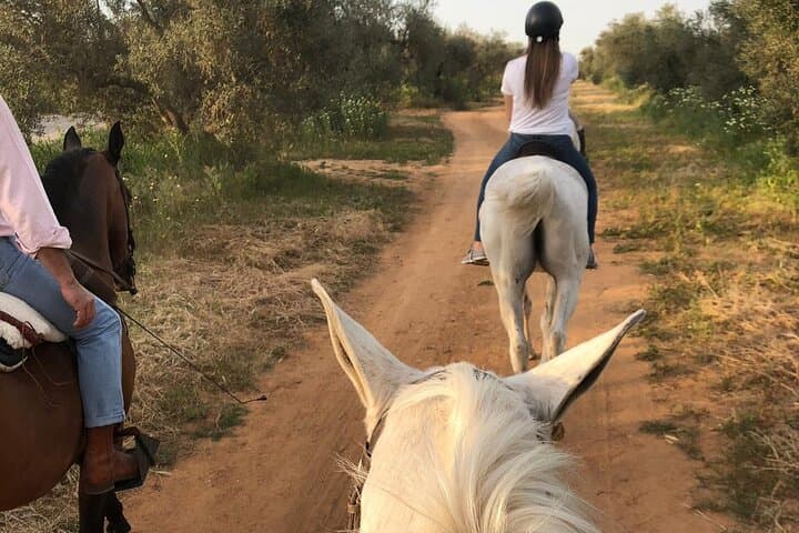 Granada & Sierra Nevada Horse Riding Tour