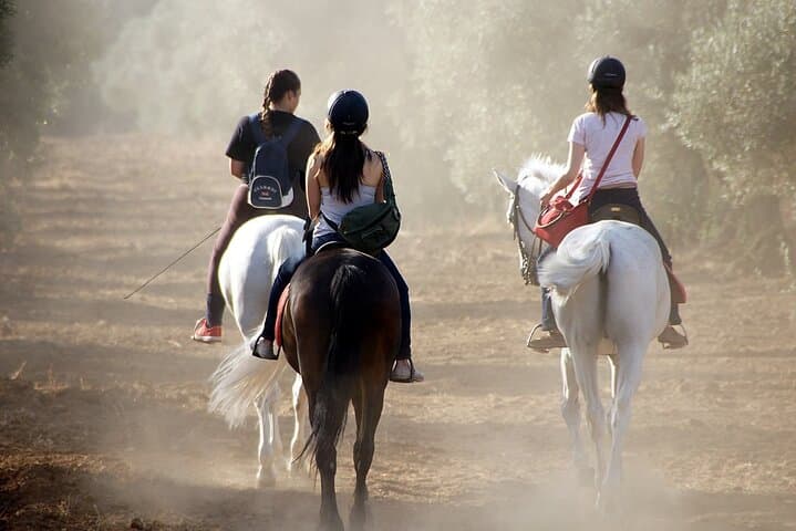 Granada & Sierra Nevada Horse Riding Tour