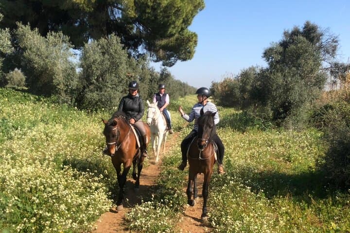 Granada & Sierra Nevada Horse Riding Tour