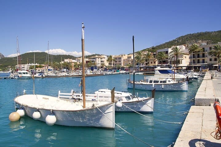 Paradise 4h Catamaran Tour of Mallorca and Puerto Andratx