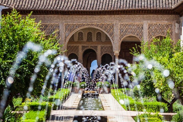 Alhambra : Guided Tour & Ticket Nasrid Palaces Guaranteed
