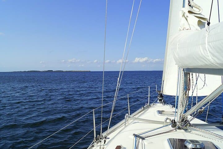 Whale & Dolphin Watching Boat Trip in Tenerife On a Sailing Boat (3 Hr)