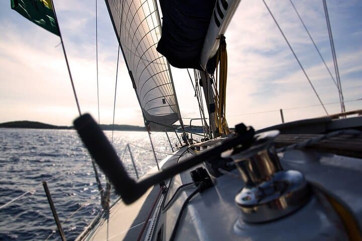 Whale & Dolphin Watching Boat Trip in Tenerife On a Sailing Boat (3 Hr)