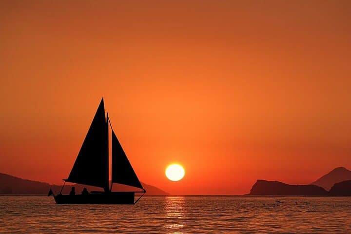 Whale & Dolphin Watching Boat Trip in Tenerife On a Sailing Boat (3 Hr)