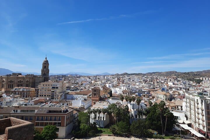 Private 3-Hour Málaga Food and Culture Tour with lunch included