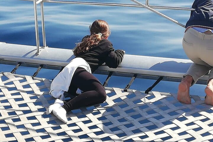 Whale & Dolphin Watching With Mustcat Virgin Coast Trip On a Large Catamaran
