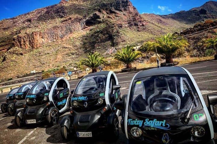 4-Hour Eco Mountain Safari Tour with Electric Car in Tenerife