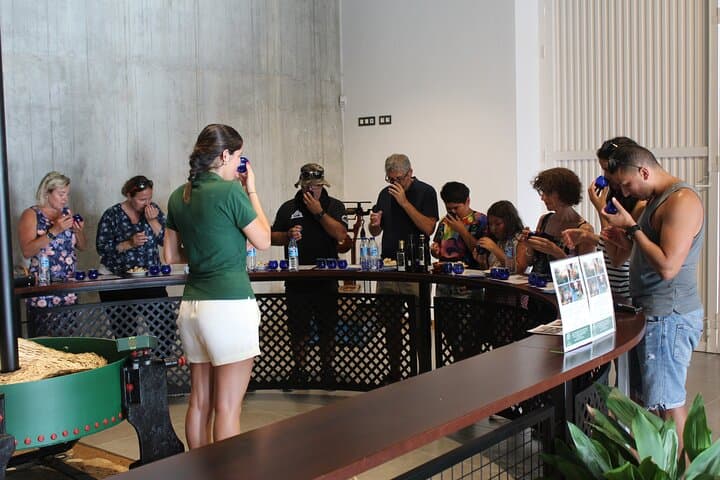 Guided tour and olive oil tasting in Alhaurin el Grande (Málaga)