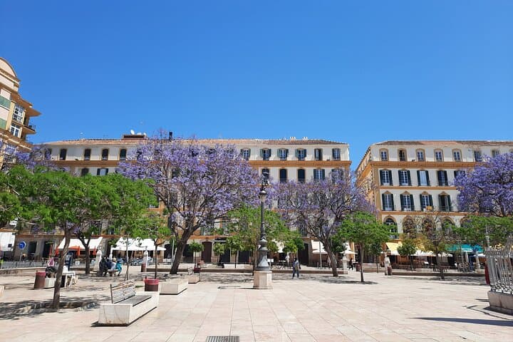 Malaga Half-Day Walking City Tour with Private Expert Guide