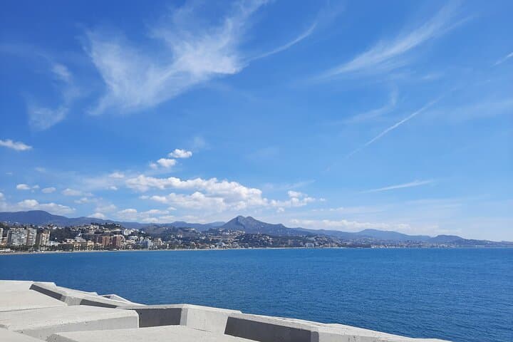 Malaga Half-Day Walking City Tour with Private Expert Guide