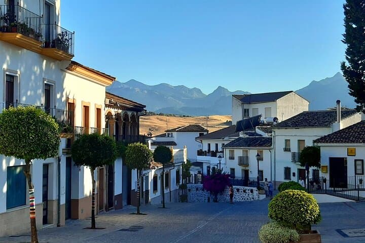 Andalucia by Sunset - half day tour including dinner and Ronda pickup