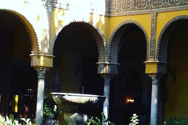 Private tour Palace of Dueñas