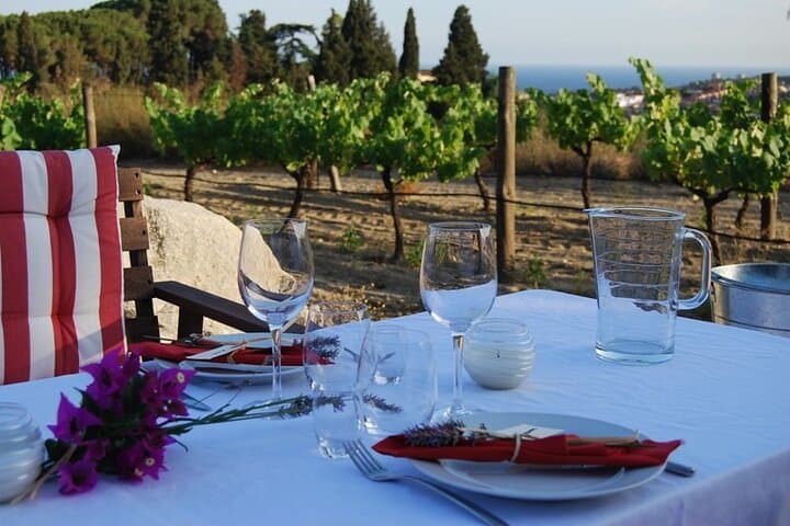 Alella Wine Tasting Private Tour with Picnic Lunch & Hotel Pick