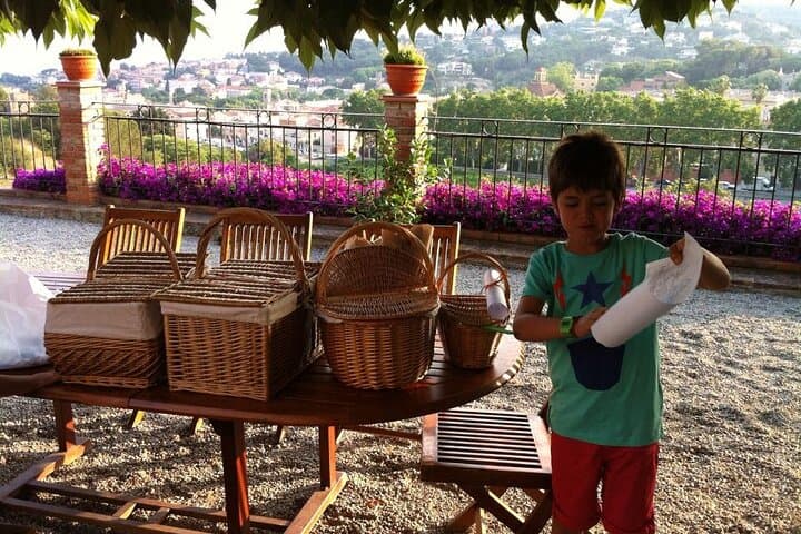 Alella Wine Tasting Private Tour with Picnic Lunch & Hotel Pick