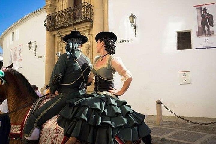 Private Tour of Ronda and Setenil de Las Bodegas