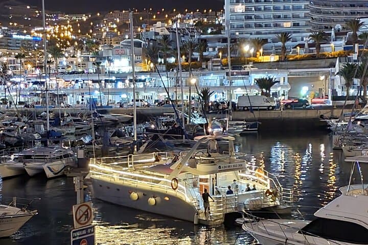 Tenerife Whale Watching Catamaran Cruise with Transfer and Buffet