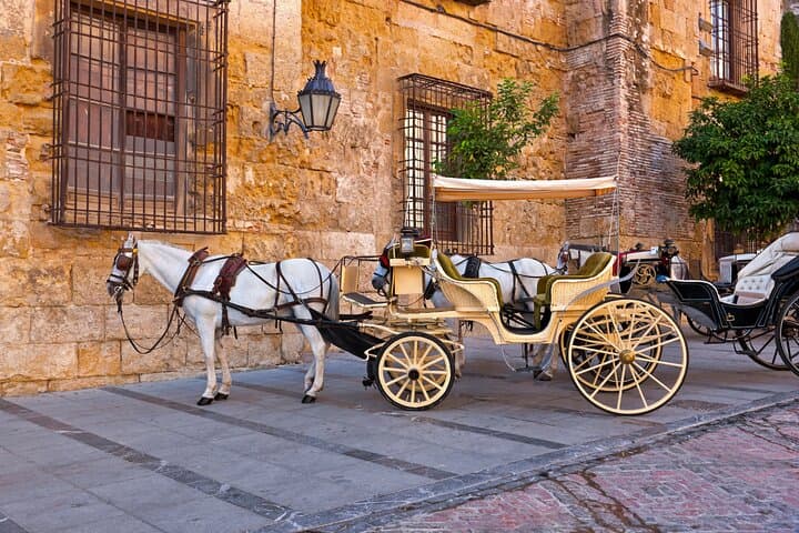 Andalusian Highlights: 6-Day Guided Tour from Madrid