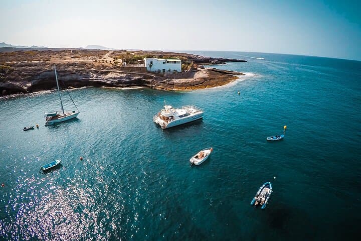 Tenerife Sunset Catamaran Tour - Food and Drinks Included