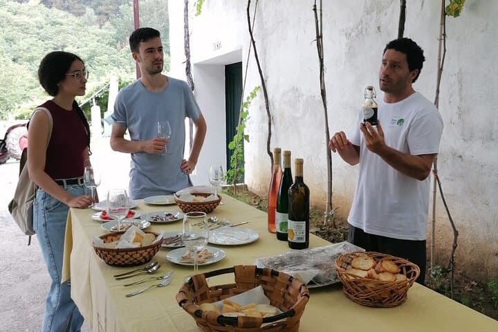 Visiting a Txakoli winery