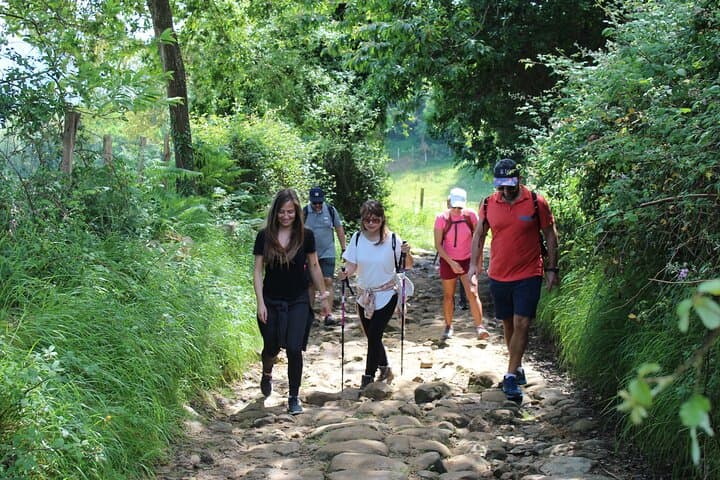 We will hike 30 minutes up to the hill