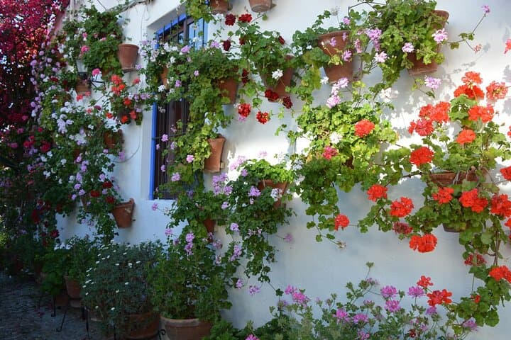 Patios & Flowers Small Group Tour