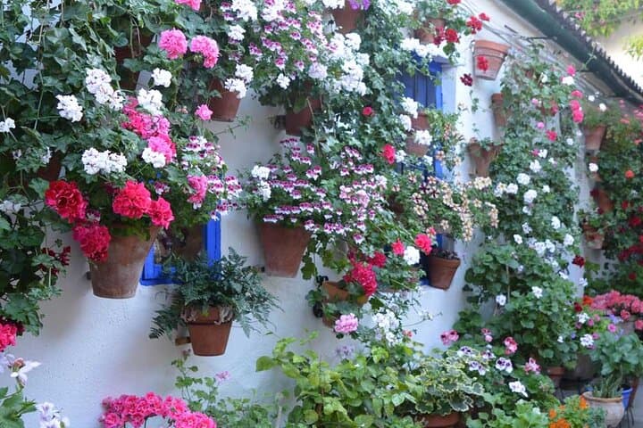 Patios & Flowers Small Group Tour
