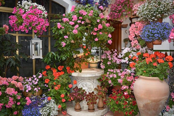 Patios & Flowers Small Group Tour