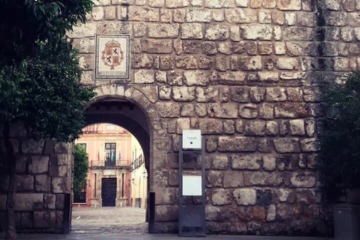 "Seville: Love At First Sight" Private Tour