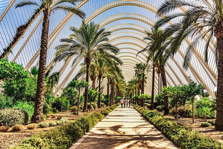 Private transfer from Barcelona to Valencia with local English speaking driver