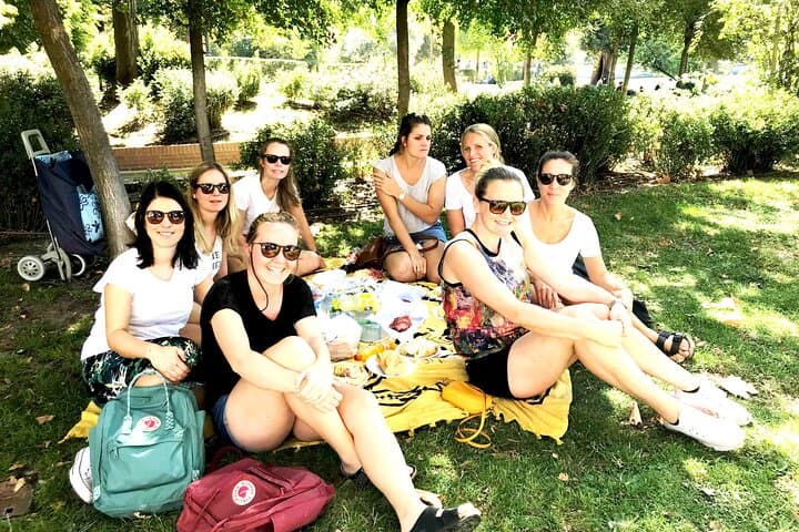 Pic-Nic Experience in Madrid with Games and Snacks
