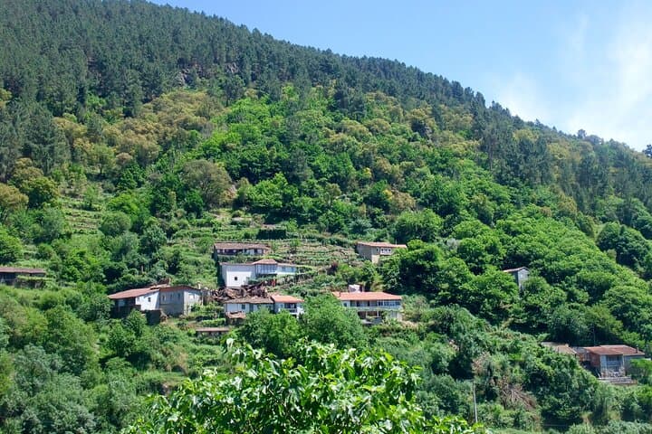 Ribeira Sacra by boat (optional) visit to Ourense from Santiago