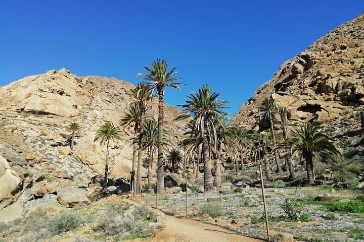 Excursion to Ajuy Caves with a secret Las Penitas canyon Hike