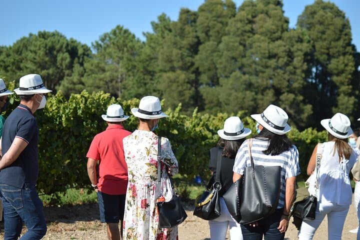 Albariño Excellence: Winery Visit & Cheese Pairing in Rías Baixas
