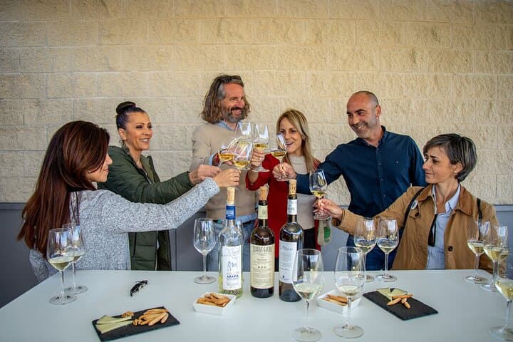 Albariño Excellence: Winery Visit & Cheese Pairing in Rías Baixas