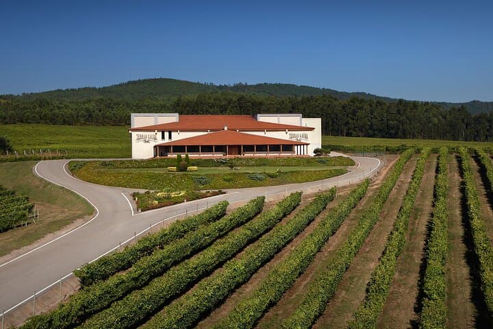 Albariño Excellence: Winery Visit & Cheese Pairing in Rías Baixas