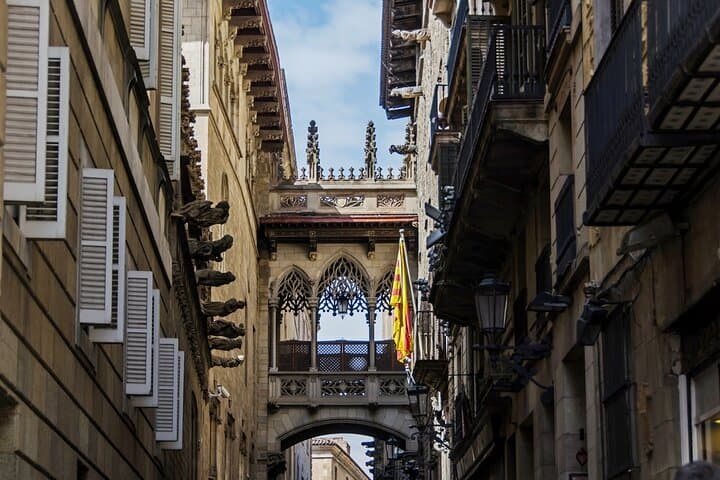 Barcelona Historical Private Tour