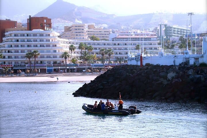 Try Scuba Diving in a turtle area (boat)