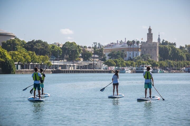 Seville Private Paddle Surf Tour