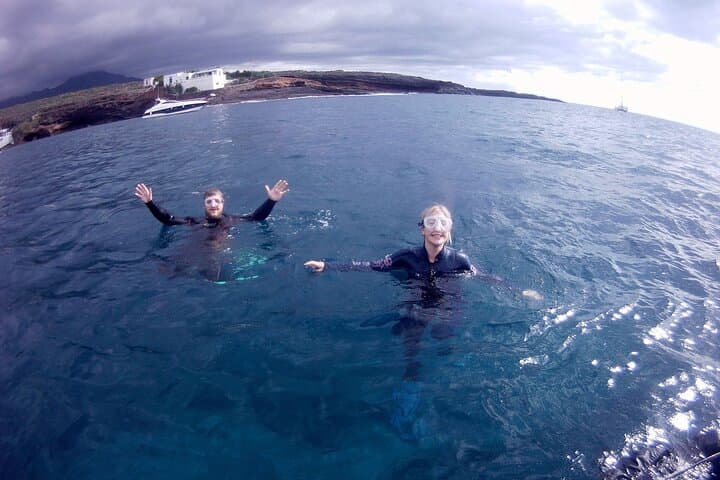 Snorkelling safari in a turtle area