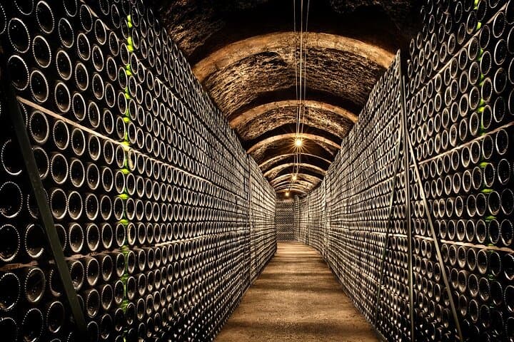 Wine cellars tour + Lunch in e-bike and private guide