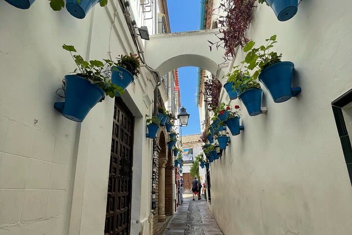 Semi Private Tour to Córdoba from Nerja