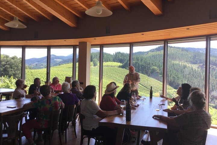 Txakoli Wine Tasting & Local Flavors near Bilbao