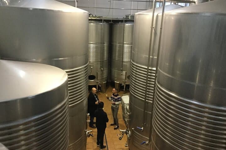 Txakoli Wine Tasting & Local Flavors near Bilbao